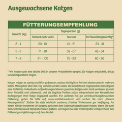 Adult Katzentrockenfutter mit Truthahn