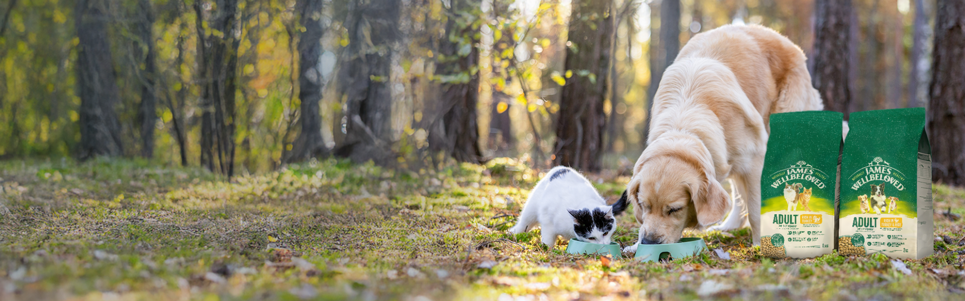 Natürlich gesunde Tiernahrung Besser ernähren, besser leben